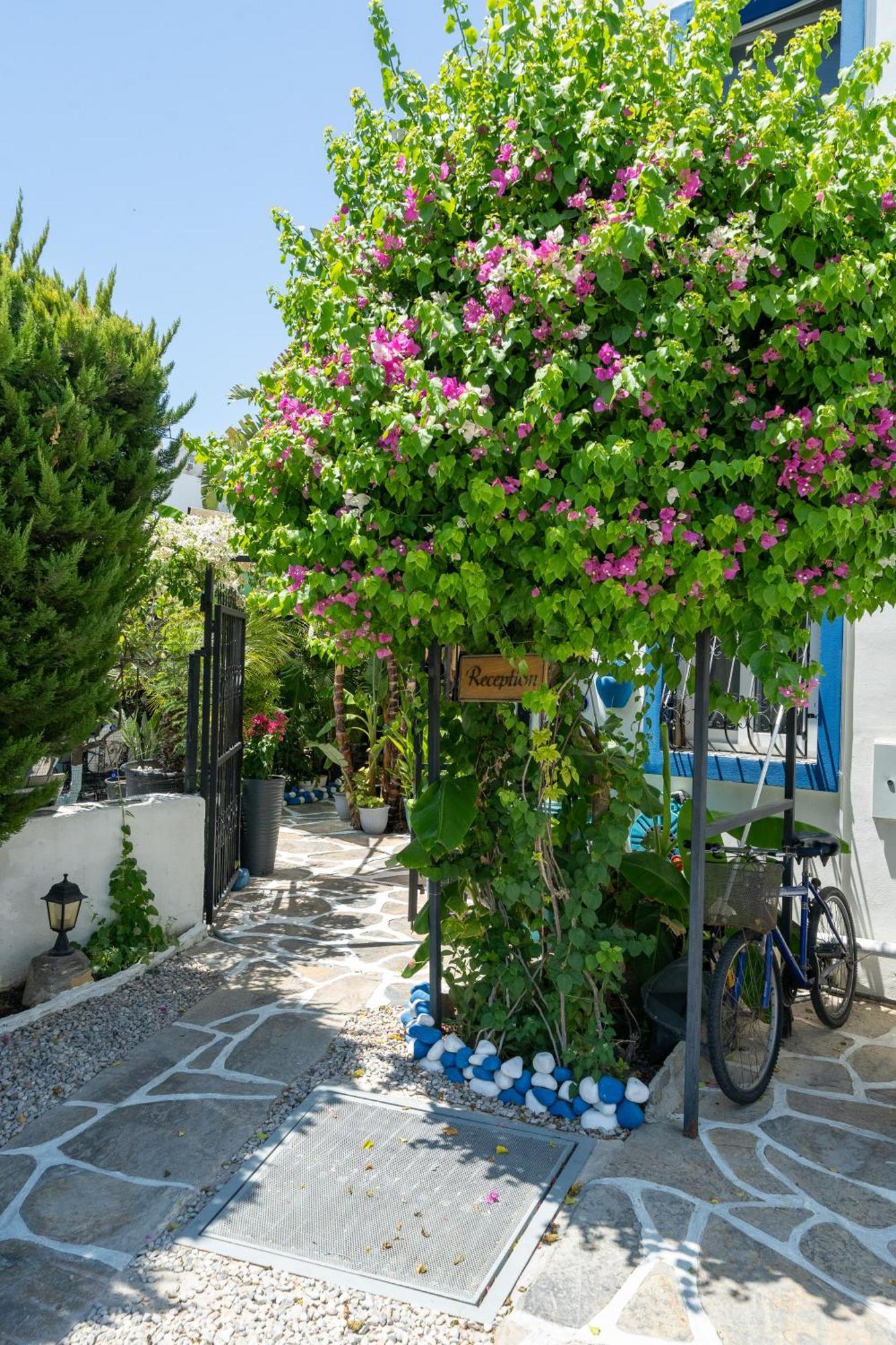 Artunc Hotel Bodrum Exteriér fotografie